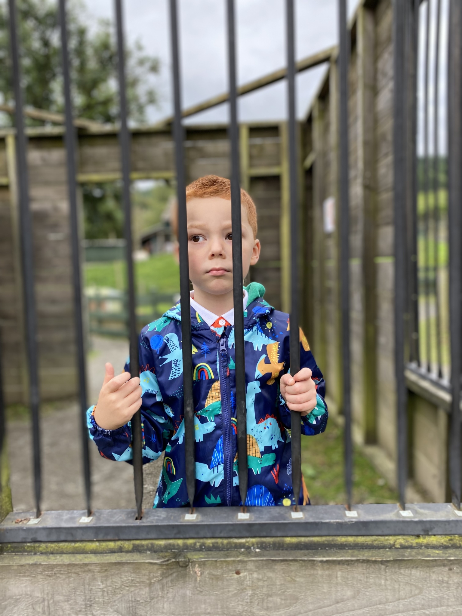 Cameo Jailed at Auchingarrich
